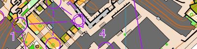 Allenamento Sprint - Ori-puzzle - Full Map